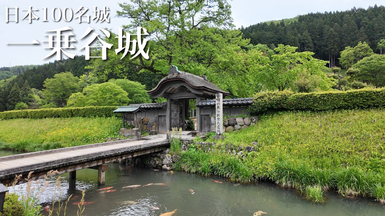 日本100名城　一乗谷城　よみがえる戦国城下町　福井県　Ichijodani Castle 2025