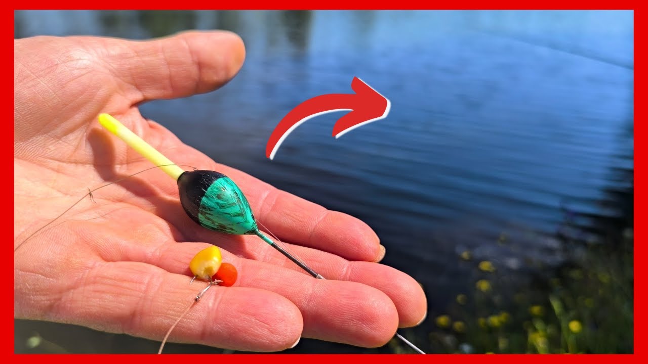 🥀EXPERIENTA  noastra pe cel mai frumos LOC de PESCUIT la PLUTA🍀