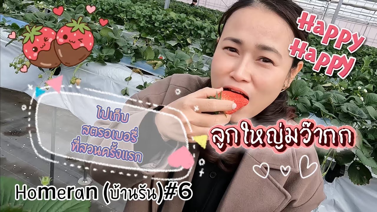 เก็บสตรอเบอรี่ที่สวนครั้งแรก ชอบมาก🍓🍓 | Homeran(บ้านรัน)🇯🇵🇹🇭#6