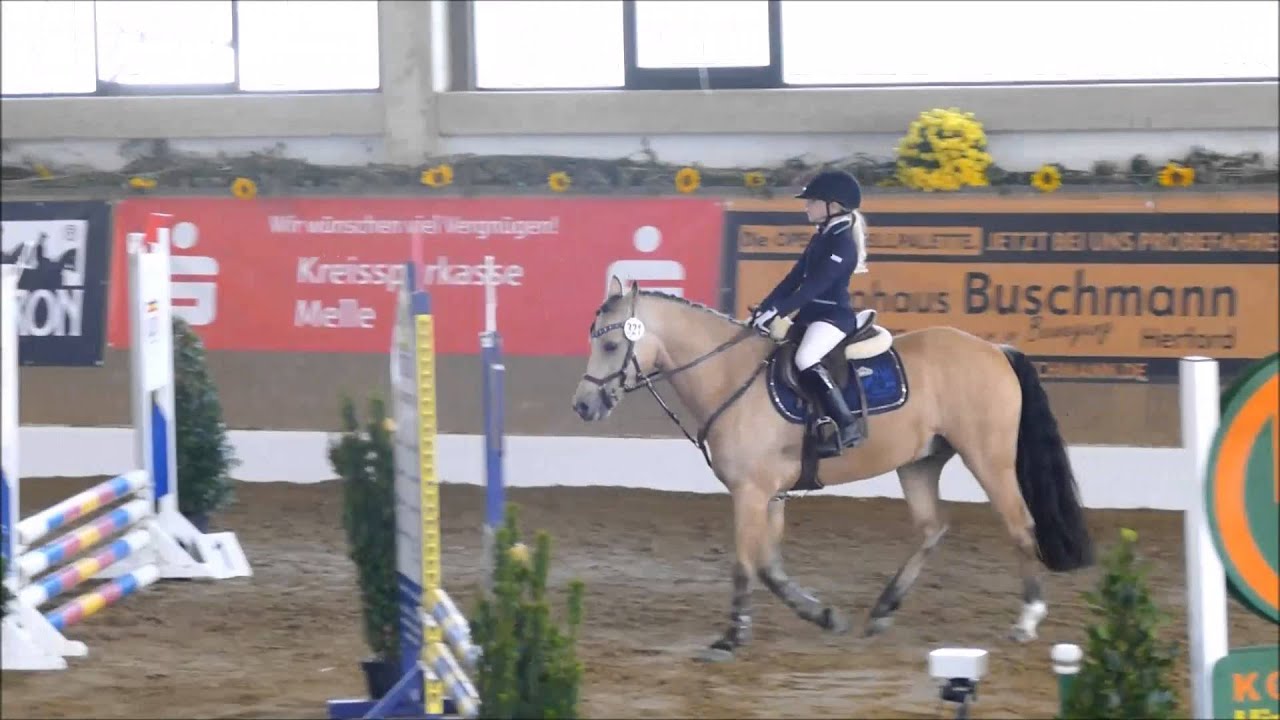 Lia & Alfi - Stilspringwettbewerb 60cm - Bruchmühlen