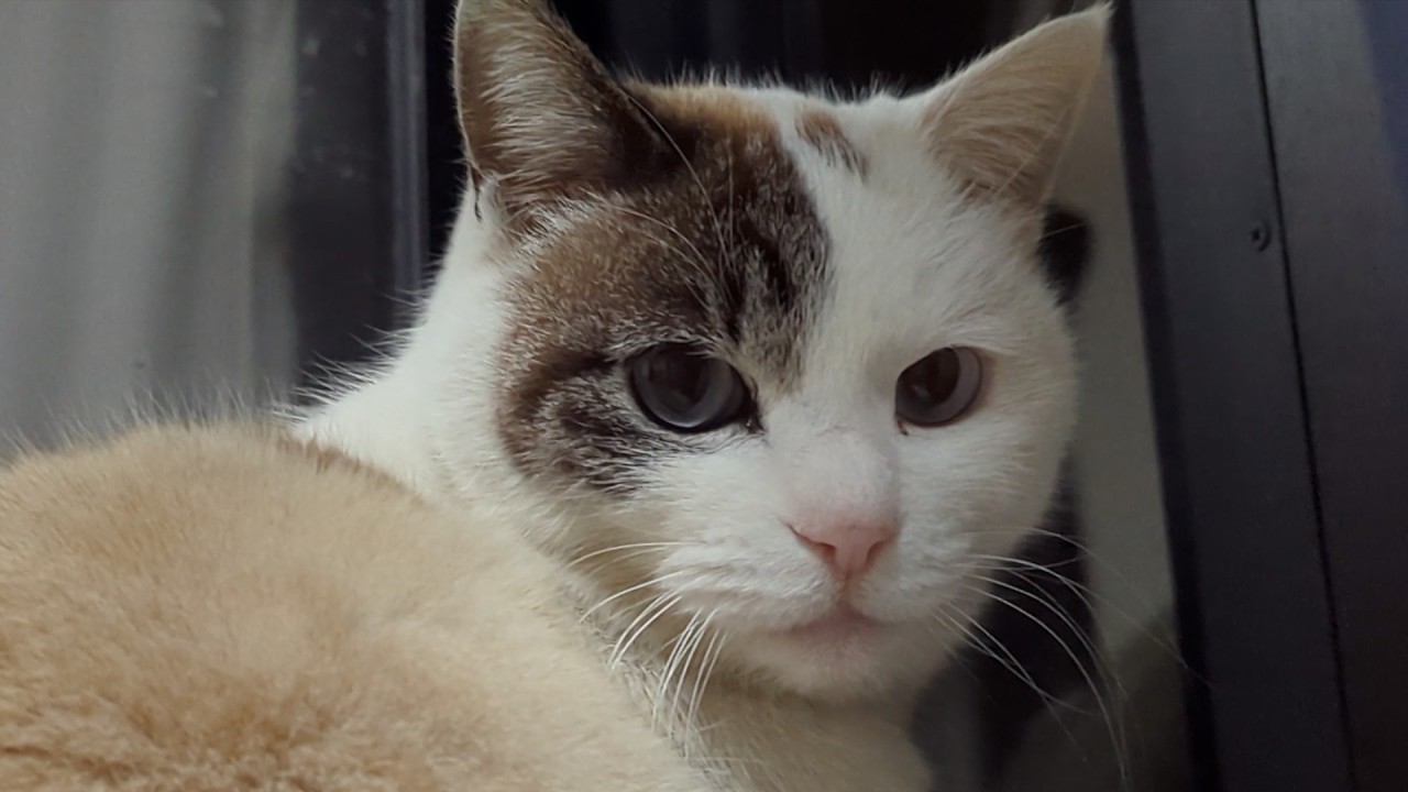 ぼくはサンです１０１　みんなが我慢している事