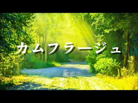 【カムフラージュしよう】『カムフラージュ』竹内まりや(ドラマ「眠れる森」主題歌) acoustic cover by kenchan