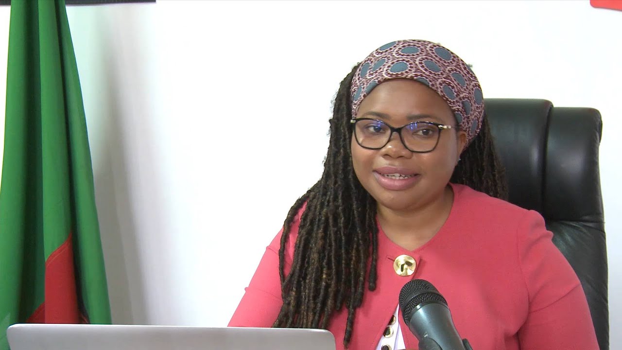 GLOBALink | China's approach to development sets model for other countries: Zambian think tank