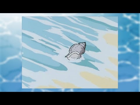 [가사해석] 노기자카46 (乃木坂46) - 신기루 (逃げ水)｜♒ 목표로 해서 왔는데 그 꿈은 어디로 가버린 걸까? ♒