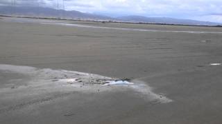 Cyprus: akrotiri salt lake