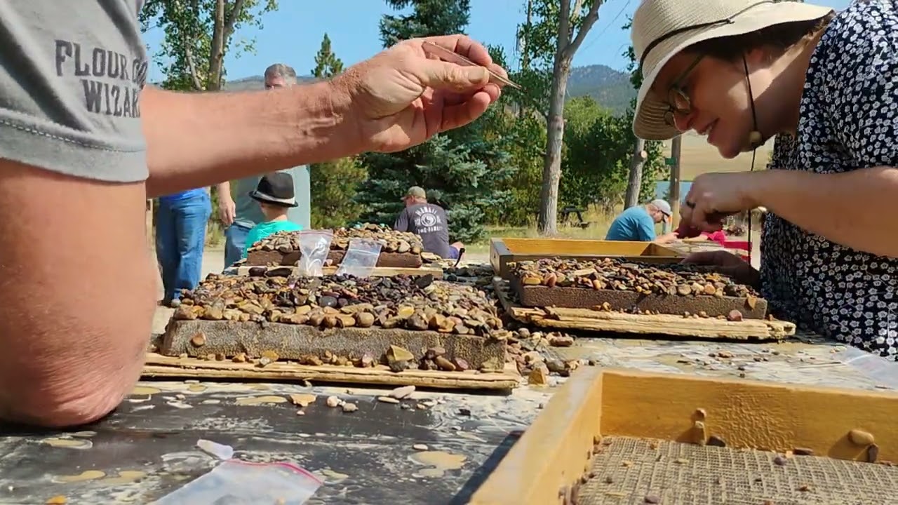I might have just found a $30,000 Sapphire in Montana 