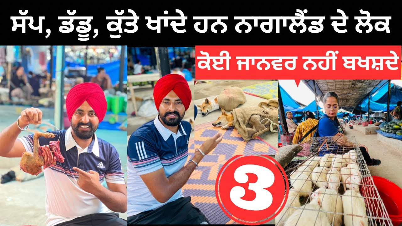 ਕੁੱਤੇ ਖਾਂਦੇ ਹਨ ਨਾਗਾਲੈਂਡ ਦੇ ਲੋਕ Dimapur Market Nagaland | Punjabi Travel Couple | Ripan Khushi