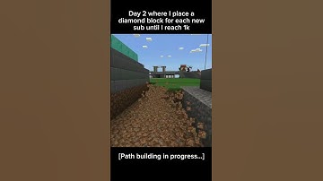 Day 2 where I place a diamond block for each new sub until I reach 1k