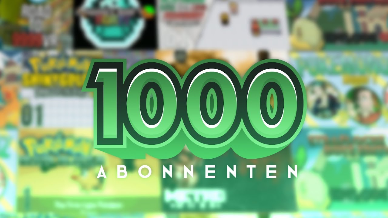 1.000 Abonnenten Special | TheSeineTV