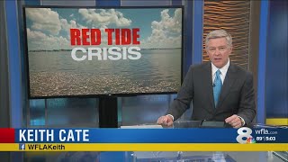 Red Tide seems to be getting better on Anna Maria Island