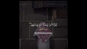 سورة الفتح تلاوة عطر عبدالرحمن مسعد 😴🌿 #قرآن #اكسبلور #يارب