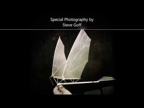 Building &rsquo;&rsquo;Birdy&rsquo;&rsquo; Ornithopter Plus Flight Video