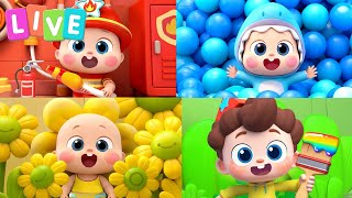 🔴 BabyBus -  Brincando com Bebês Coloridos | Músicas Infantis | Sim! Neo | BabyBus Português