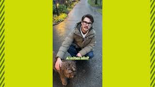 Kesätyö Lähetys Esihenkilö Harjoittelija