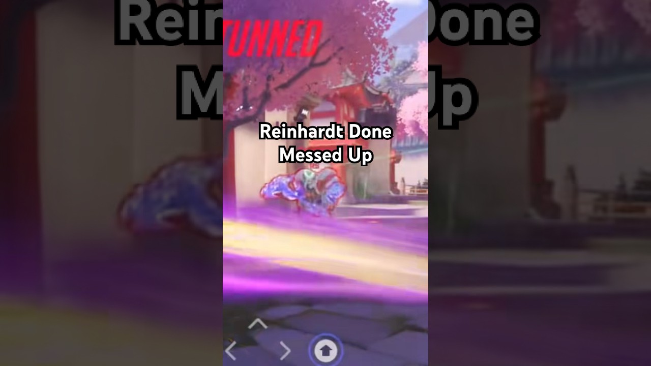 Reinhardt Done Messed Up 