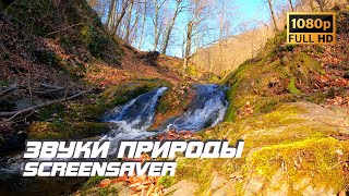 Живая Природа - Река | Ручей | Звуки Природы | Звуки Ручья | Шум Воды | Релаксация | Заставка Для Тв