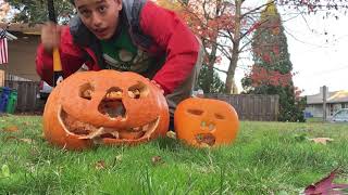 PUMPKIN DESTRUCTION VID #3 Update