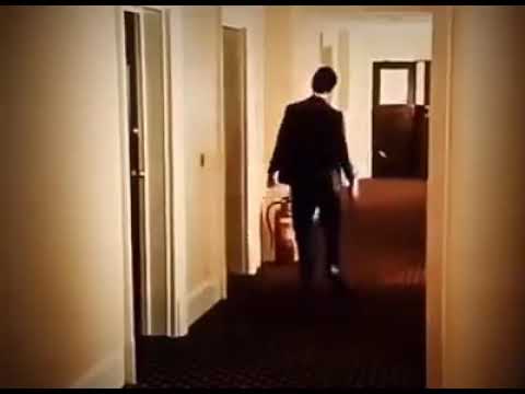 اجمل حالات واتس كوكتيل اغاني