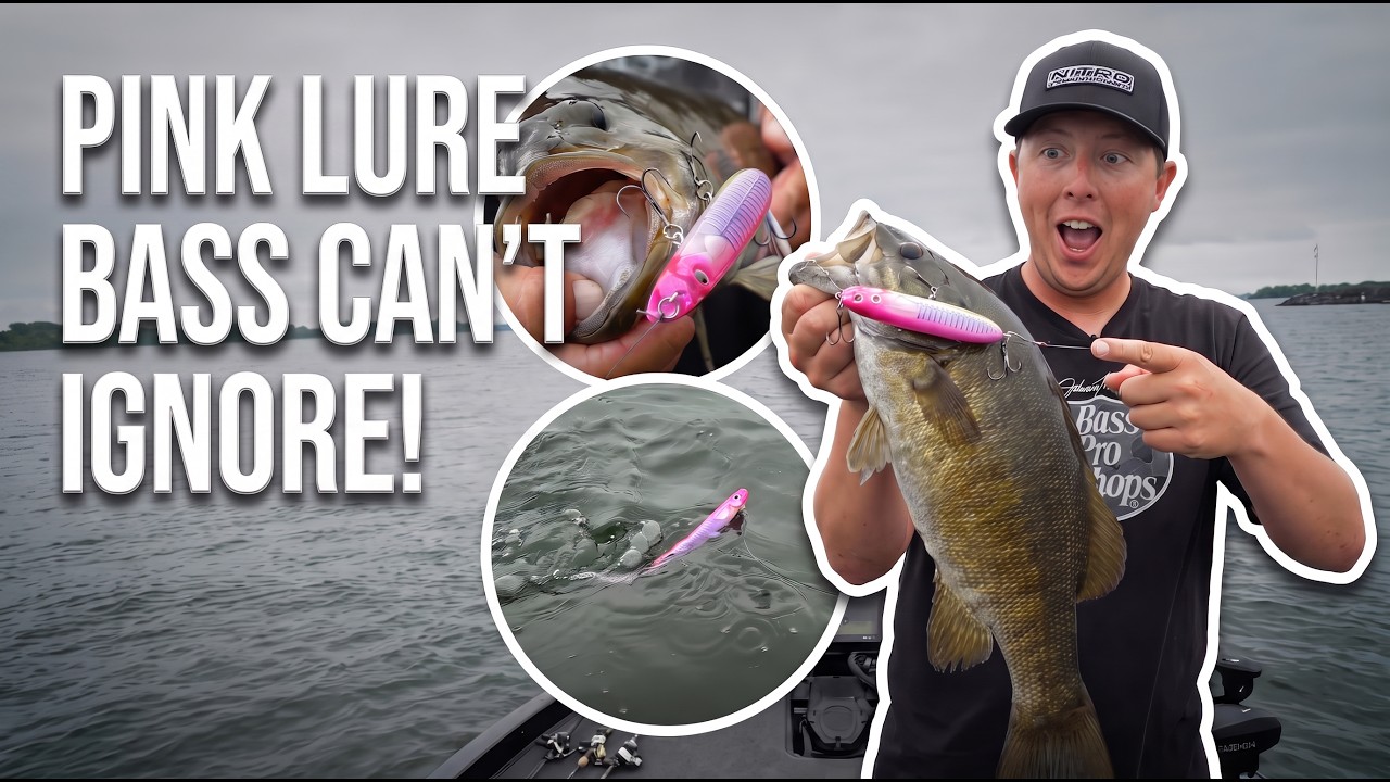 Why Big Smallmouth Can't Ignore This PINK Topwater Lure