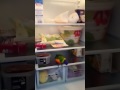 Lory non vuole uscire dal frigo