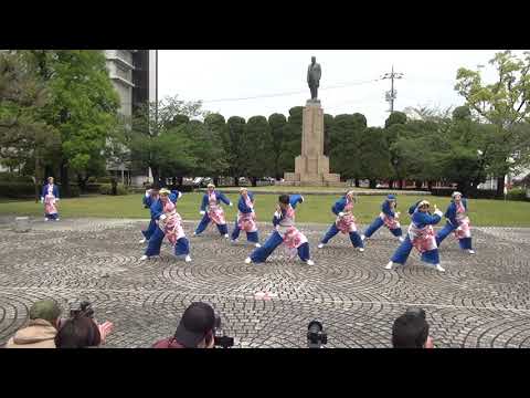 周防紅華連（1回目）・よさこいフェスタ