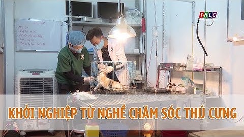 Vượt khó khởi sự kinh doanh từ nghề chăm sóc thú nuôi | THLC