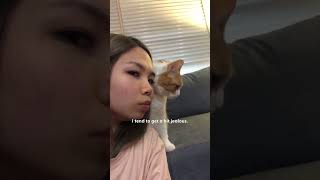 Mom Gets Jealous When Her Cat Prefers Her Boyfriend The Dodo