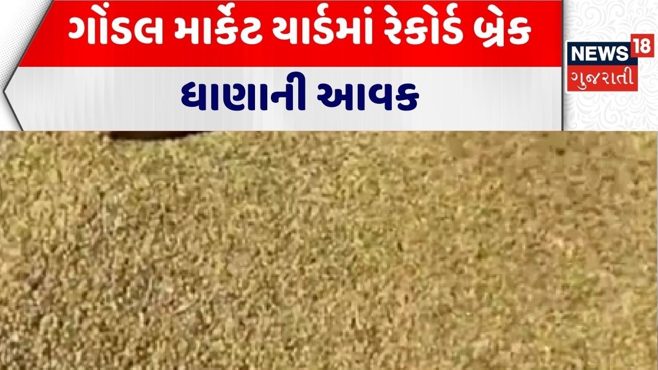 Gondal Market Yard | ગોંડલ માર્કેટ યાર્ડમાં રેકોર્ડ બ્રેક ધાણાની આવક | Rajkot | Agriculture News