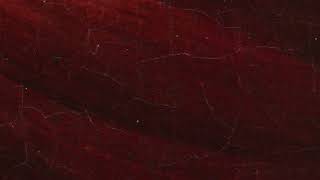 Aman Ecel Üç Gün Ara Ver - Trabzon Çoksesli Korosu