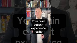 Your Brain Doesnt Experience Reality