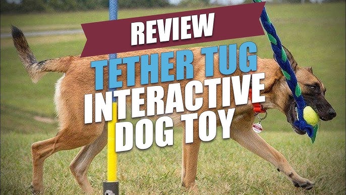 Tumbo Outdoor Tugger Hanging Bungee Powered Interactive Dog Toy, Small