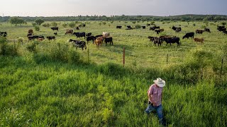 an Attack On Lawabiding Citizens New Gun Laws Draw Criticism