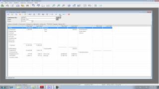 Sage BusinessVision January 2013 Payroll TaxUpdate