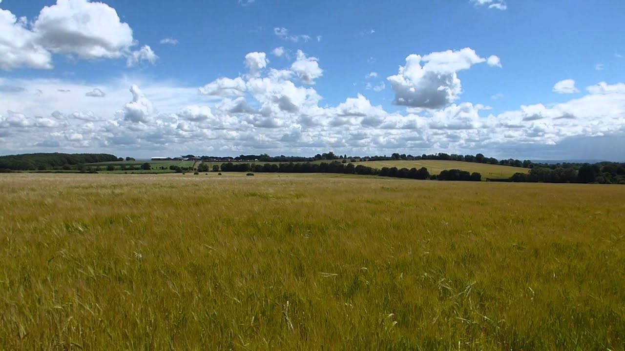 Watch Skylarks singing at Boxfields on YouTube Watch Skylarks singing at Boxfields on YouTube