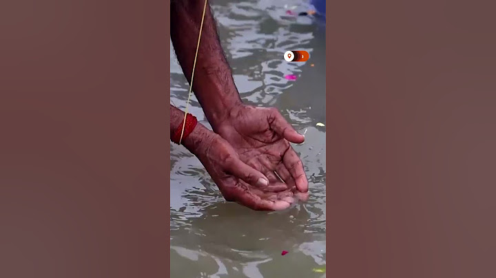 Millions take holy dip as India's Maha Kumbh Mela begins
