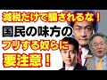 維新、国民民主、高橋洋一•••国民の味方のフリする奴らに騙されるな！自民党/財務省解体/消費税/れいわ新選組/竹中平蔵/山本太郎/