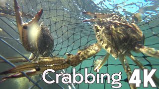 【4K UHD BEAUTIFUL AUSTRALIA】Lady Ruthven Reserve and Crabbing