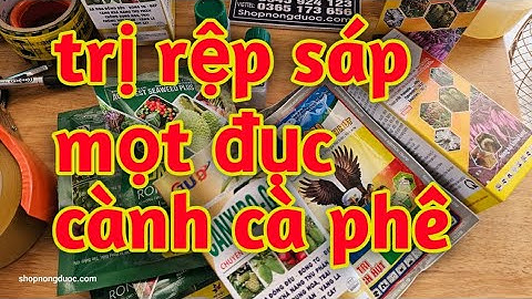 hd125. giải nhiệt tăng đậu trái trị rệp sáp mọt đục cành cà phê