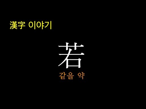 [한자이야기] 若약 같을