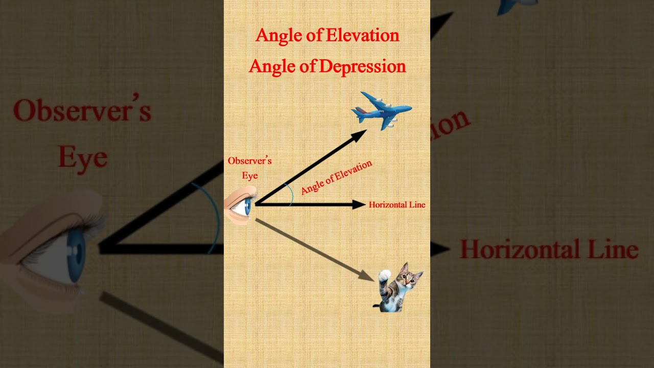 Angle of Elevation | Angle of Depression 
