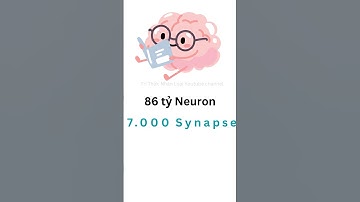 Máy tính 1 TỶ Transistor vs Não Người: Ai Mạnh Hơn?