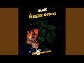 Ananionea 