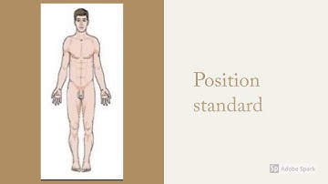 Résumé cours anatomie et unité de l