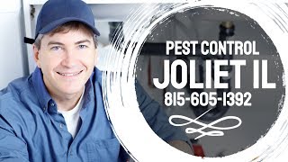 Pest Control in Naperville IL - Call Us at 815-605-1392