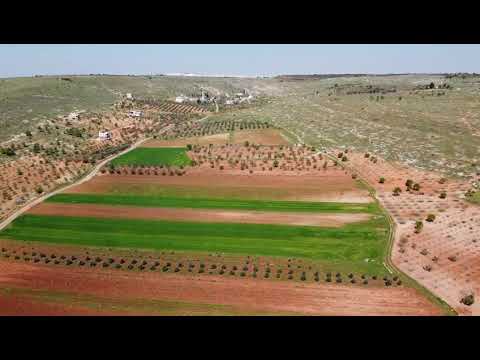 Dji mavic mini