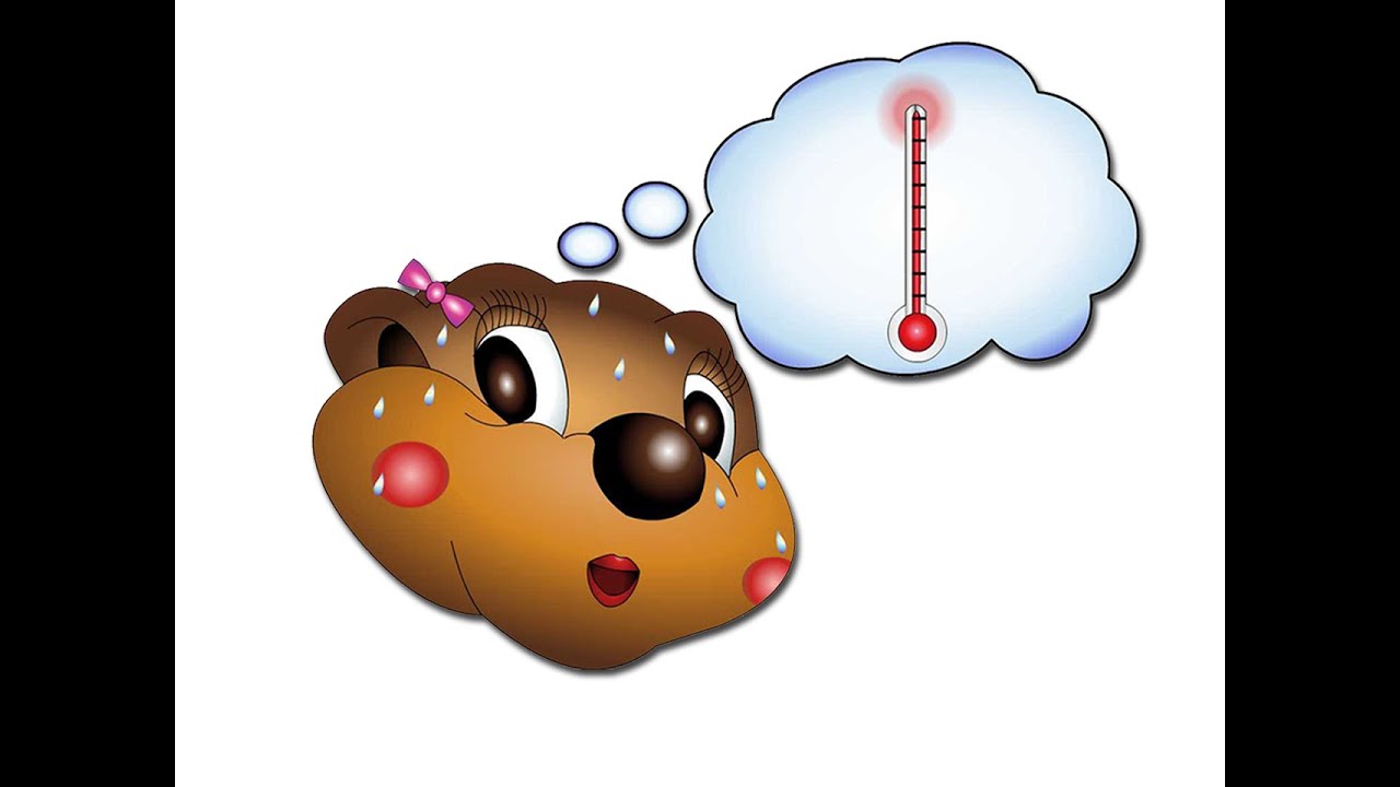 “I'm Hot, I'm Cold” (Level 1 English Lesson 12) CLIP English Study