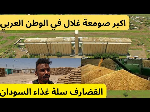 al qadarif sudan  القضارف اكبر صومعة غلال في الوطن العربي