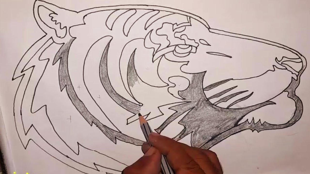 Tiger tattoo design | tribal tiger tattoo | chitrkla | chitrakala | tiger drawing | drawing tattoos