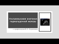 Ультразвуковая анатомия поджелудочной железы