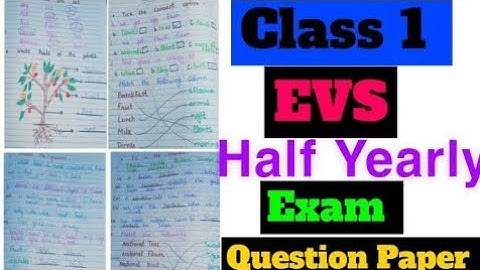 Class 1 EVS Half Yearly Exam Question Paper 2024-25|Half Yearly Exam|Class 1 EVS worksheet